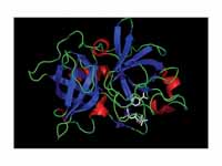 Urokinase