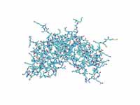 Interferon gamma, line representation