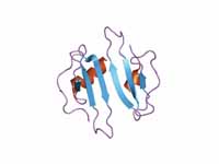 Chemokine (C-X-C motif) ligand 10