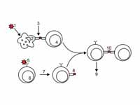 In the upper pathway; foreign protein...