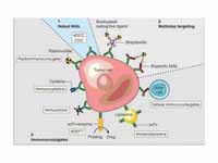 Monoclonal antibodies for cancer. ADE...